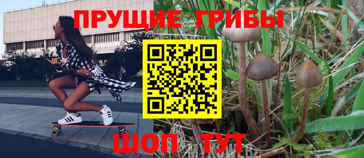 Псилоцибиновые грибы GOLDEN TEACHER  Вход с VPN  Майский 